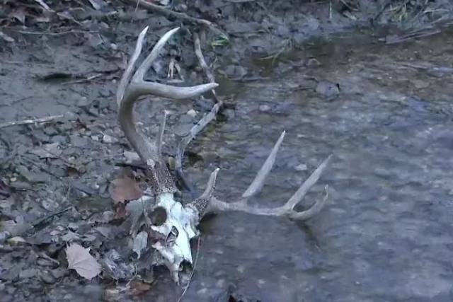 突发!美国爆发大面积丧尸病毒!感染后大脑被啃