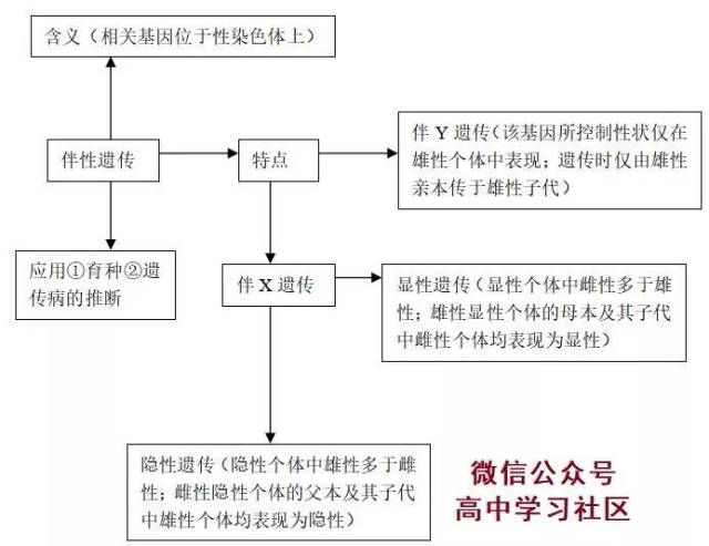 高中生物必修2知识点思维导图