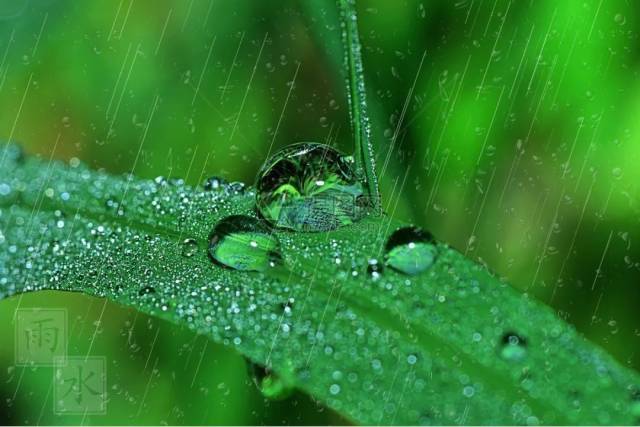 《初春小雨 韩愈 天街小雨润如酥,草色遥看近却无.