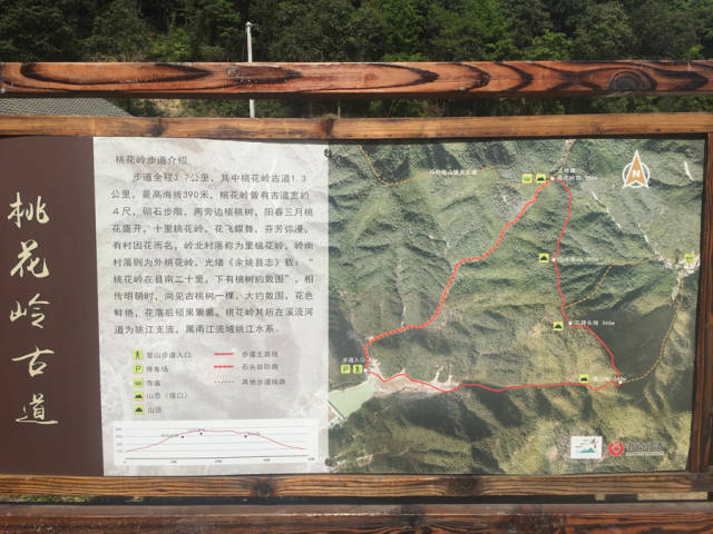 醉美宁波,徒步千年古道桃花岭,赏田园美景,享古村慢时光