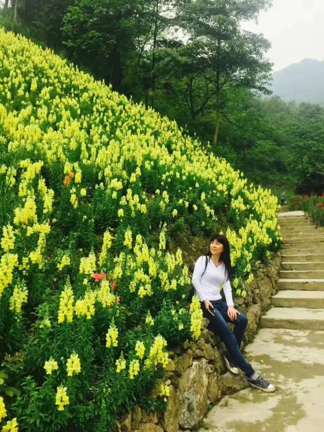 【树德人】教师风采│夏洪英:真心真诚地去爱