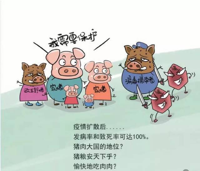 【科普宣传"非洲猪瘟"防控知识普及,我们需要注意哪些?