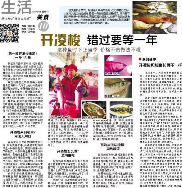 青岛春天第一鲜:开棱梭:鲜得没法说。美食大