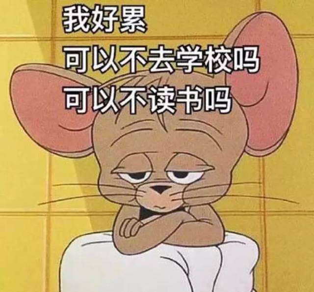 想去学校但不想开学!别做梦啦!还是来点儿实在的吧!