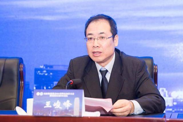 河南省医保局副局长王峻峰指出,要从更高格局上认识drg改革意义.