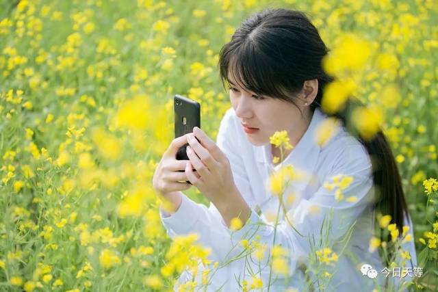 【头条】天等二月天:繁花初绽 春景如画