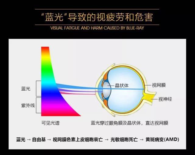 畅销欧美19年,拯救眼疲劳,阻挡蓝光伤害,这款防蓝光眼镜,每个人都应该