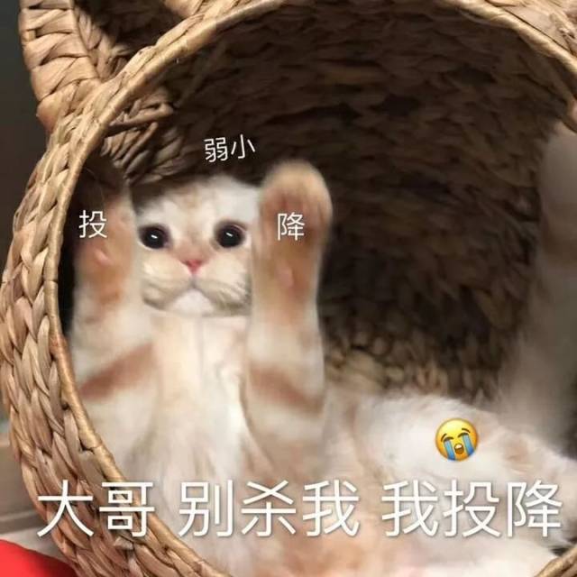 爱情这场游戏,我认输