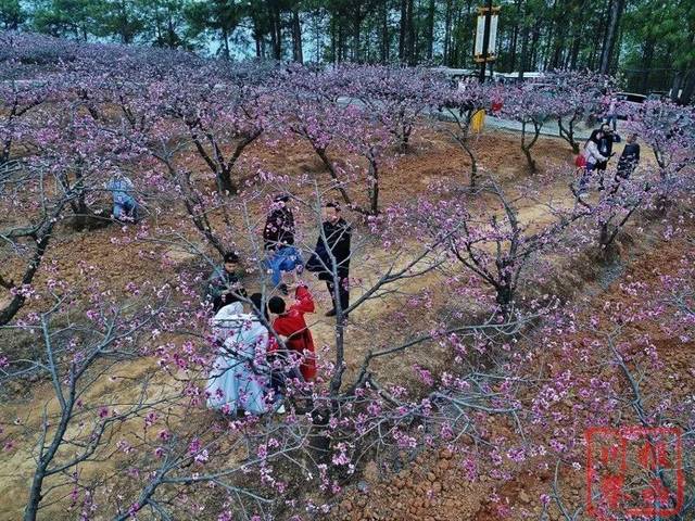 当地群众大多称为桃花村),这里也是金钟山国家aaaa级旅游区中的一个