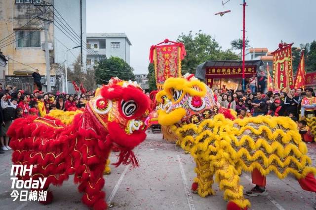 正月十九棉湖花园功福神庙游神活动,舞龙舞狮祈愿阖境