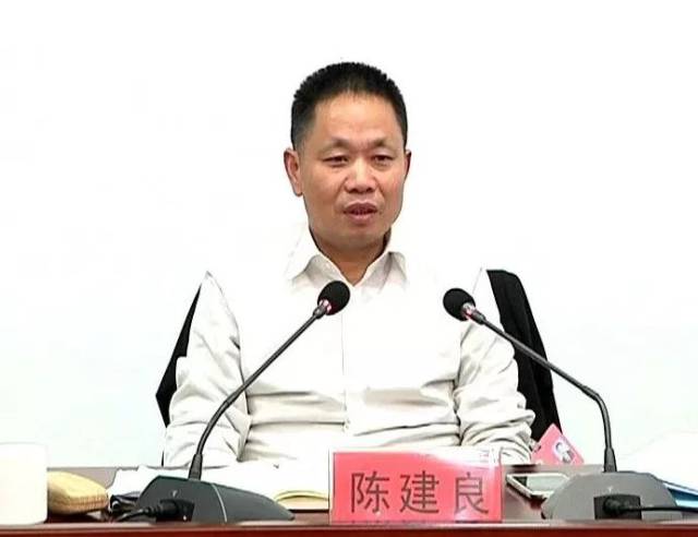 参加政协分组讨论,王彩莲陈建良张贤孟等县领导这样说