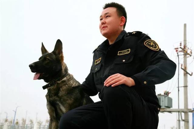 帅气!走进阿拉山口海关缉私分局,了解缉私犬的日常