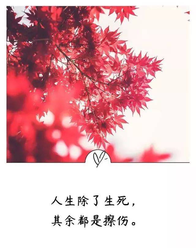9Ժ,ϵ,!