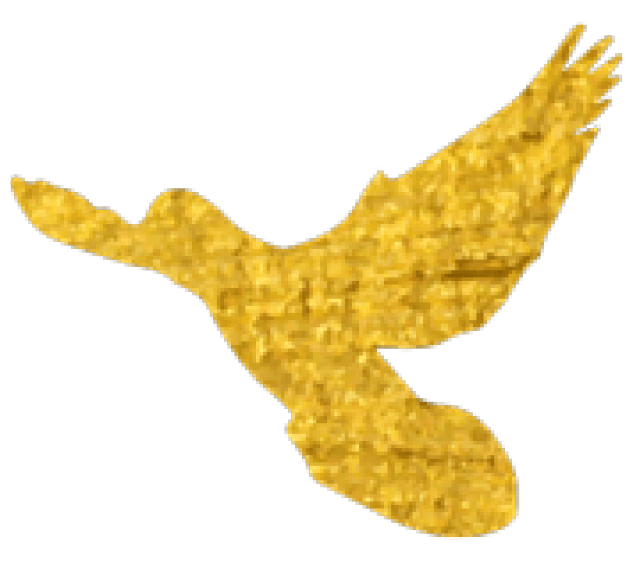 【团小骄傲】那个上过央视《军事频道》的90后军嫂,是光明团结小