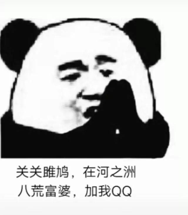 表情包:道路千万条,恋爱第一条,现在不脱单,过节两行泪