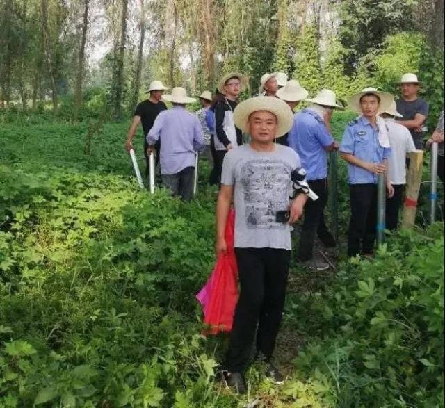 区"敢担当,善作为"优秀干部风采展示—记汉滨区张滩镇副镇长任玉波