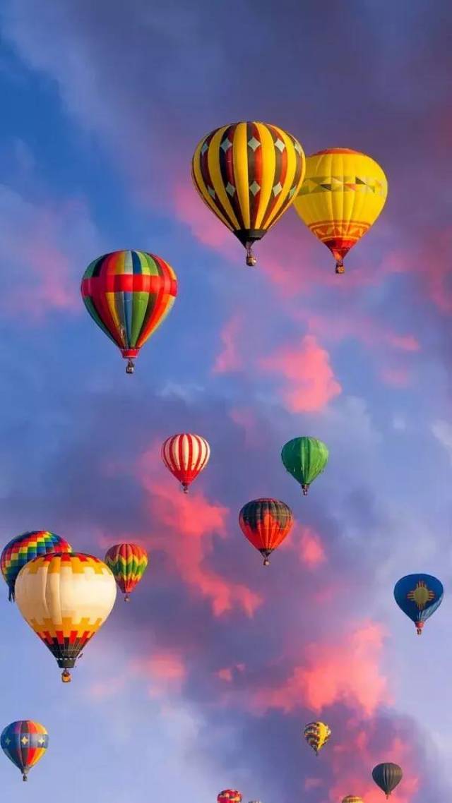 万亩花海间 那些自由飞翔的五彩缤纷的热气球 像极了一幅生动的风景画
