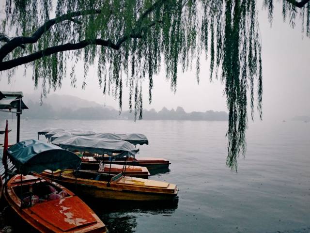 "西湖雨后,绿波两岸平拍."