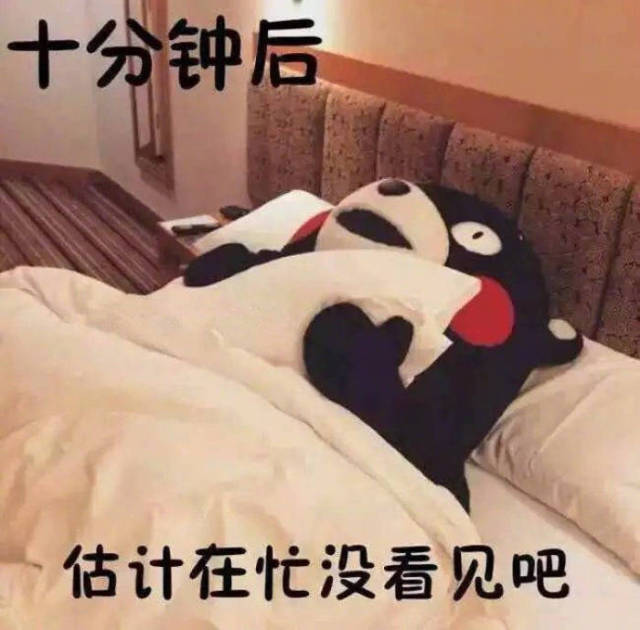 我秒回,你轮回!怎么看待聊天突然不回微信的人?