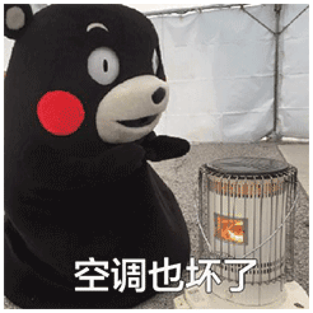 熊本熊表情包:我不管,我必须去你家睡_手机搜狐网