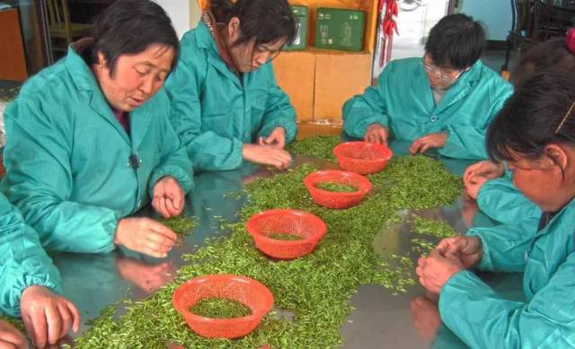 未来半年至少还有4个雨季！据说地产枇杷已经遭