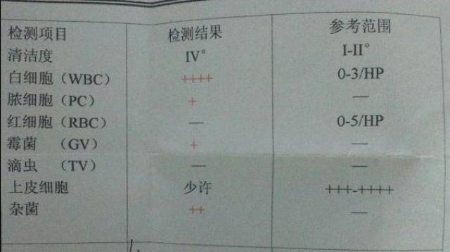 白细胞三个 就是阴道炎吗?教你看懂白带微生态检测化验单