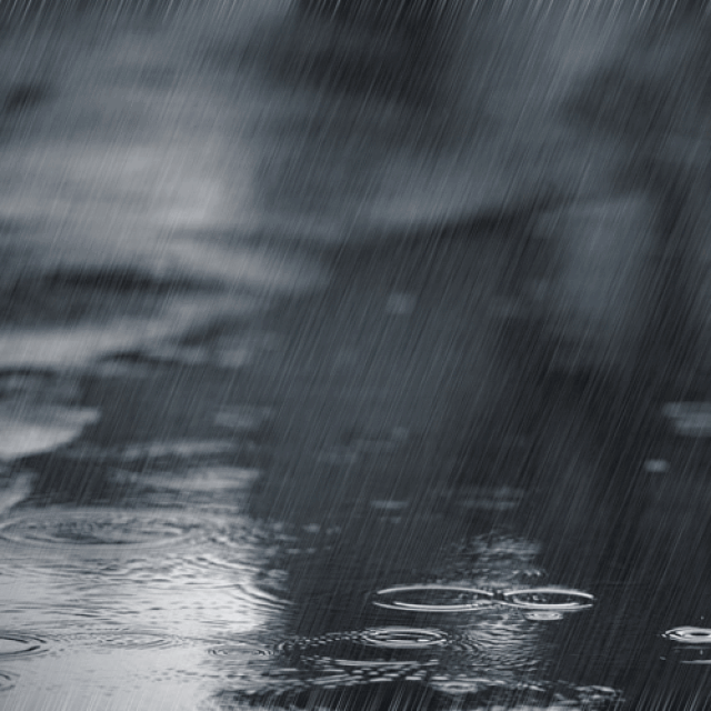 未来半年至少还有4个雨季！据说地产枇杷已经遭