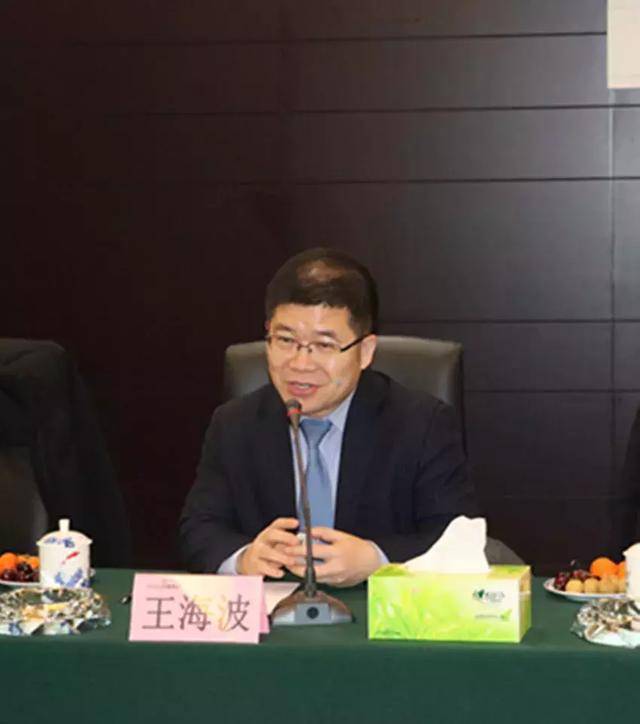 网库集团董事长王海波