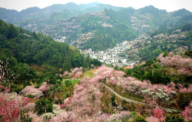 这里就是位于安徽省最南端的 歙(shè)县洪岭村,她还有用一个好听的