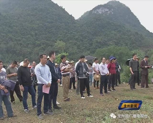 龙州县召开2019年澳洲坚果种植工作推进会