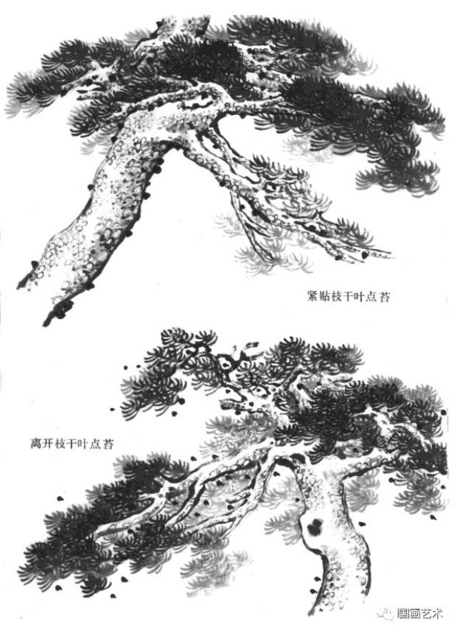 学画松树