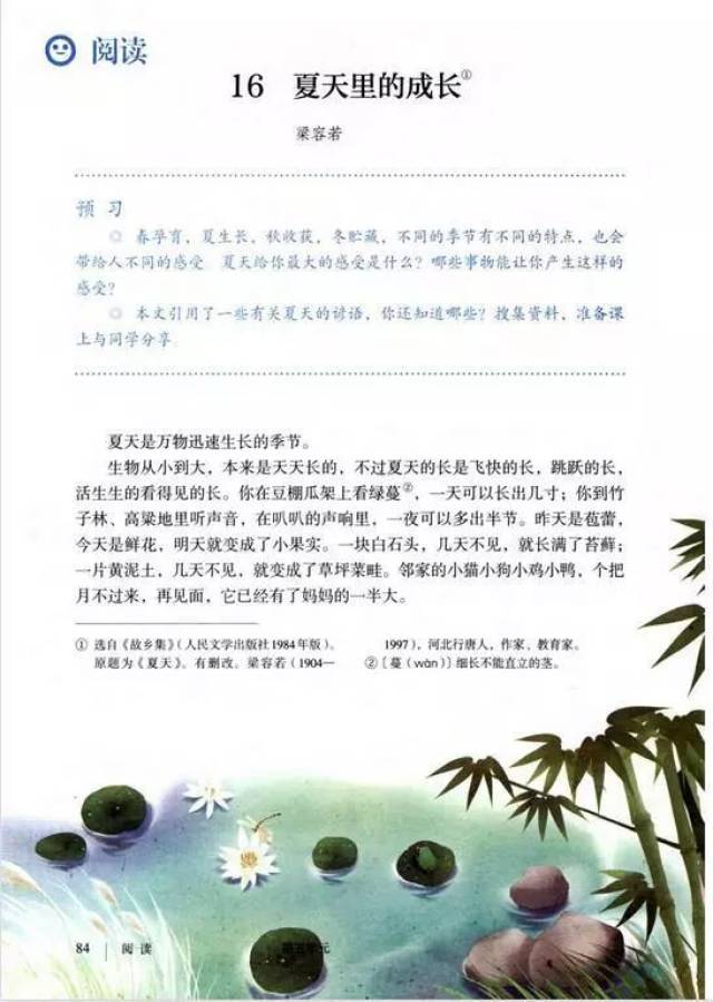 【新悦读】第四期:李姝君《夏天里的成长》