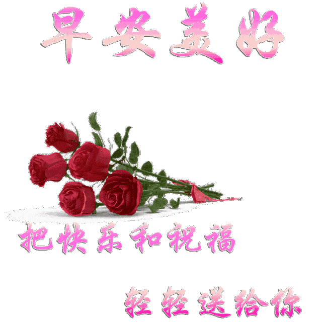 ȦϺʺףѡ¼,糿ף̬ͼƬ