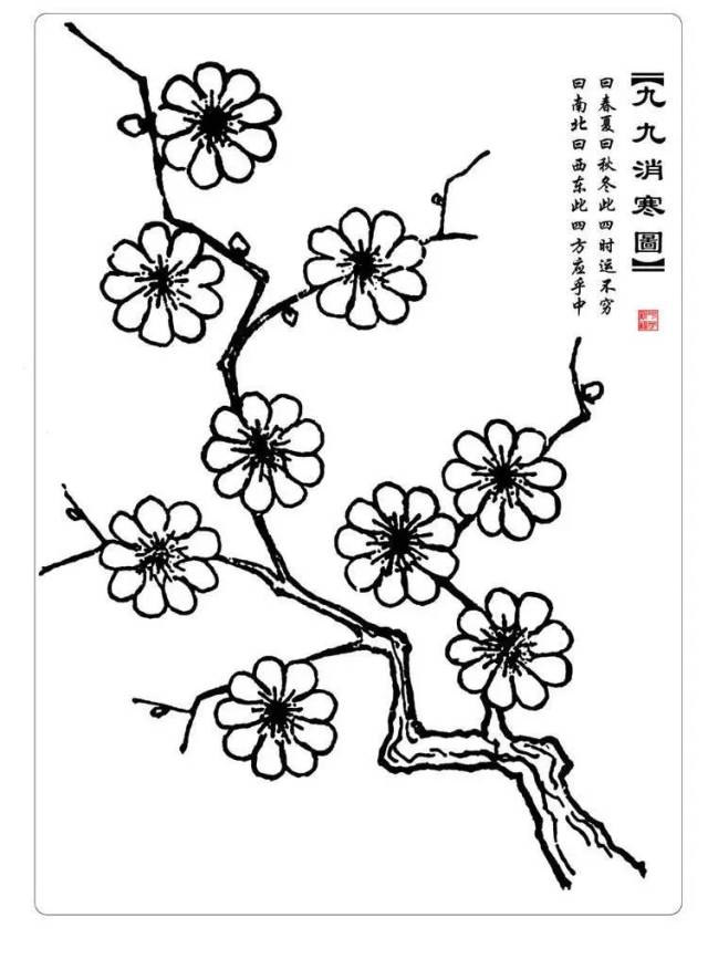【杏林节气】不犁地,只待三五日;九九杨花开,以后