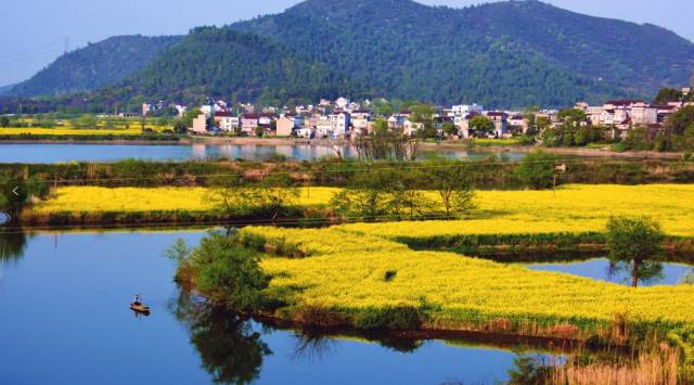 春天来峨桥旅游,这些是必打卡之地