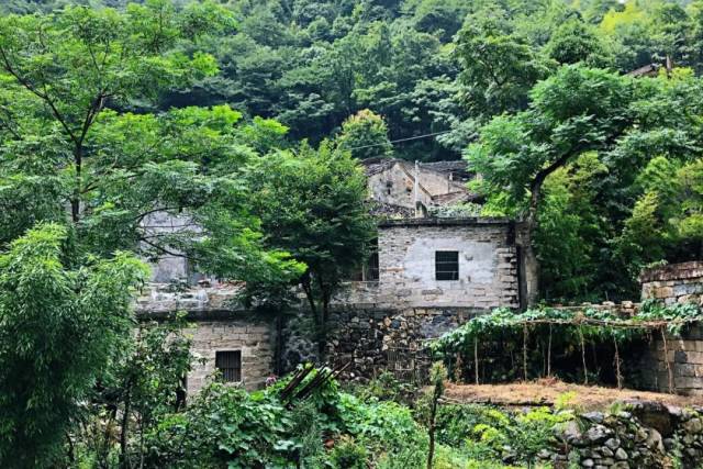 请你记住正在"消失"的天台这个古村,切莫让古村真正消失.