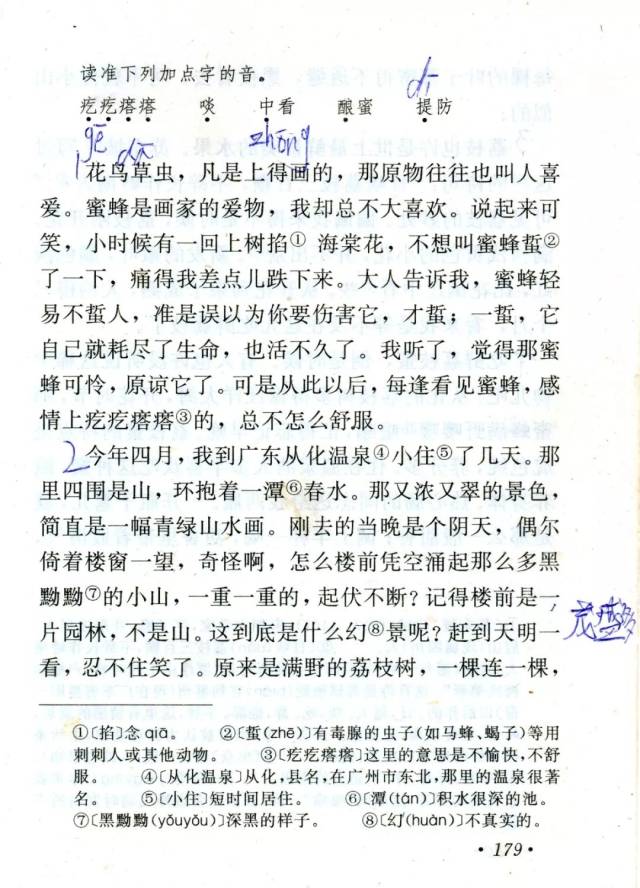 荔枝蜜丨那些年我们一起读过的课文