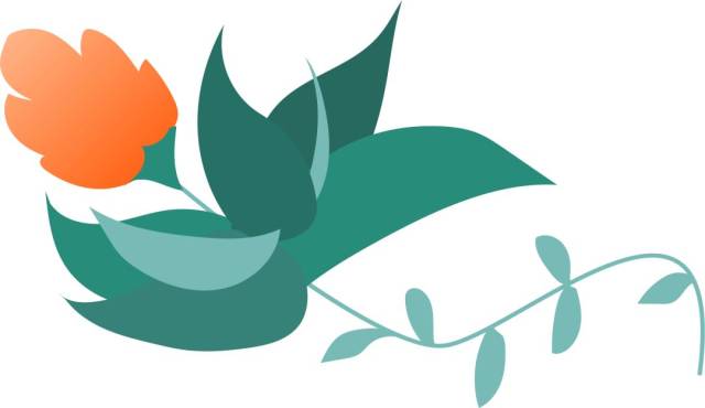 我校王小宁同学喜获校长推荐免费出国研学名