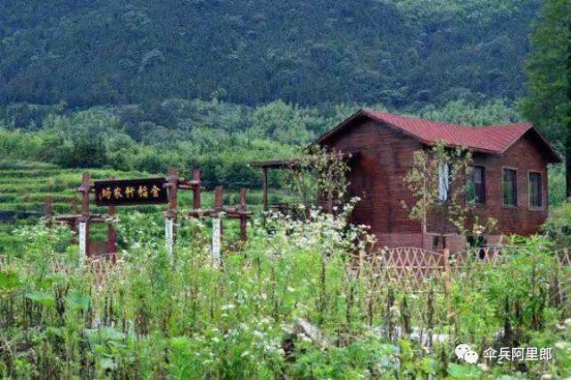 国家养老战略:《生态+田园+养生+康养模式市场