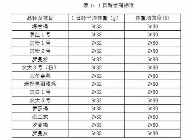 90,105等日龄的核心指标,包括平均体重,胫长,体重均匀度,累计采食量等