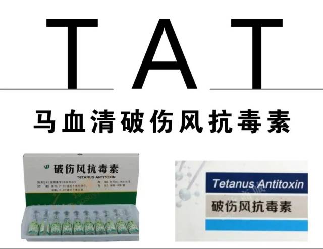 连卖萌用的tat在药学生的心中都有特别的含义——马血清破伤风抗毒素