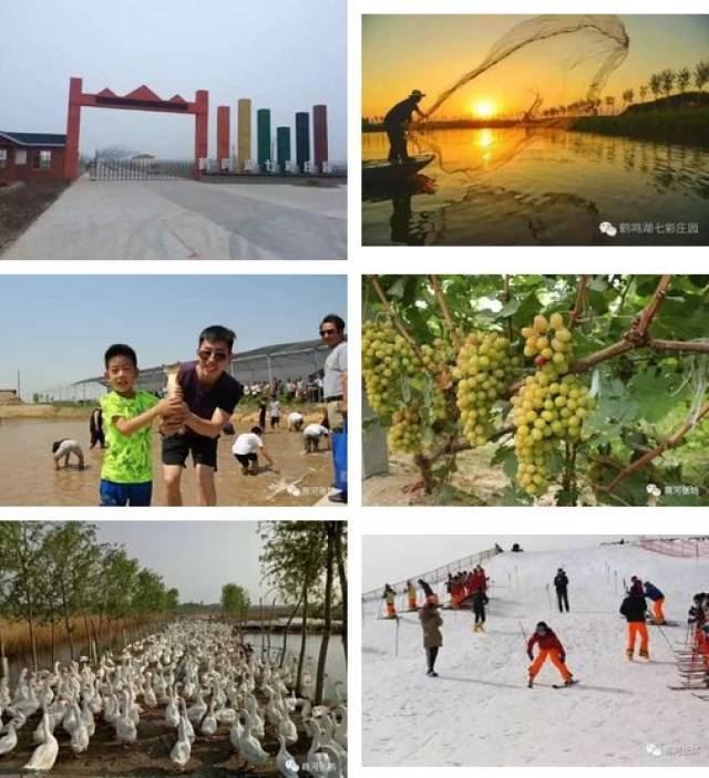 旅游商河县张坊镇鹤鸣湖七彩庄园第三届万人植树活动火热报名中