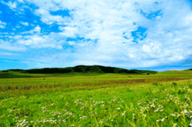 蒙古体验·野狼谷·公主湖·影视基地·达里湖·锡林郭勒大草原6天6晚
