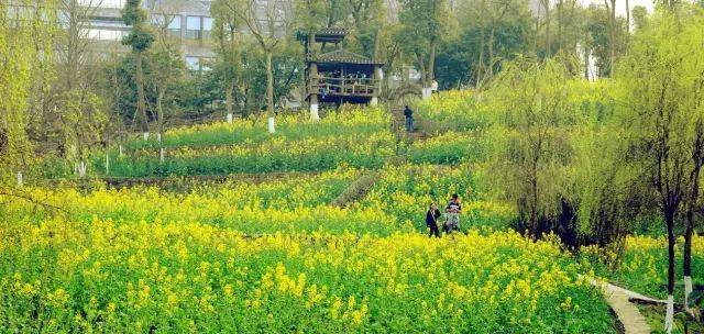 他第一个展览的前言也是我写的