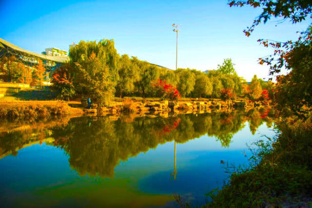 月亮河中游被定位为城市湿地公园 龙湾海滨是国家4a级风景名胜区