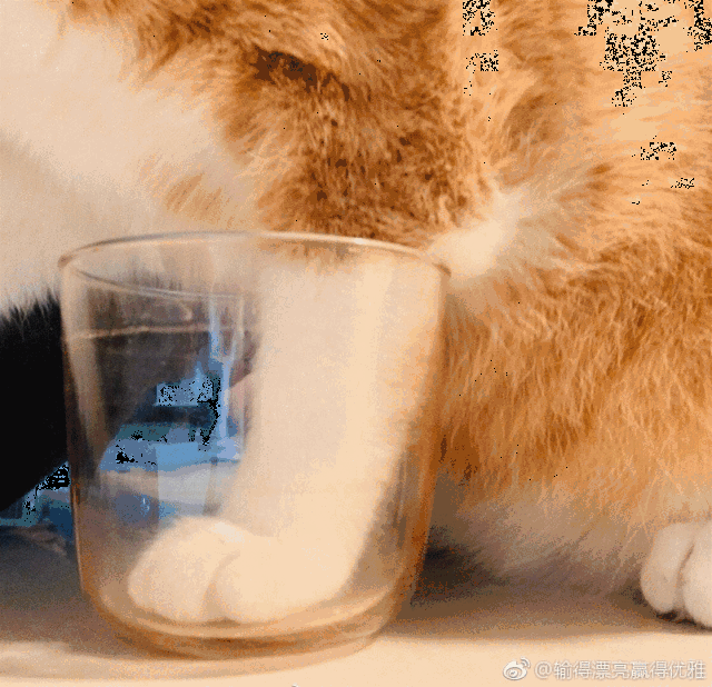 640_618gif 动态图 动图