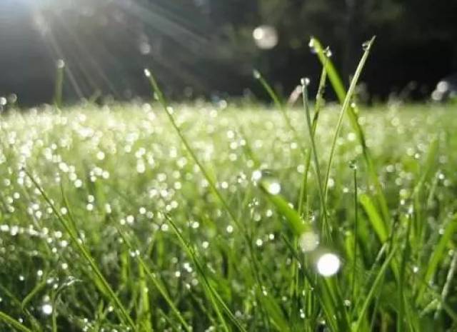 气象专家否定南方未来还有四个雨季说法