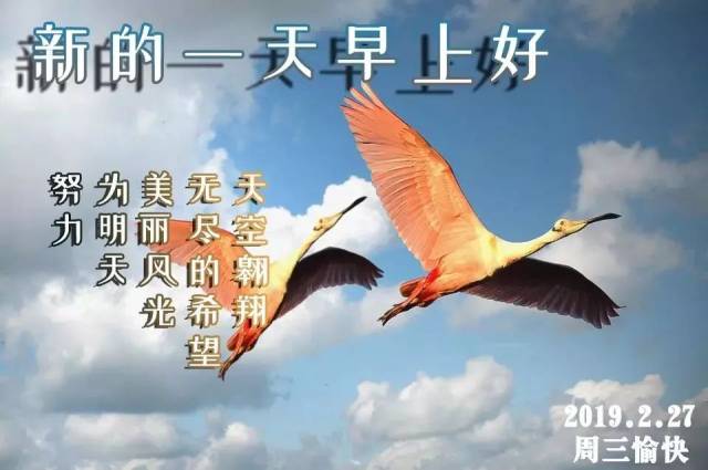2019最新群发早上好问候动态图片表情 最美早安祝福语