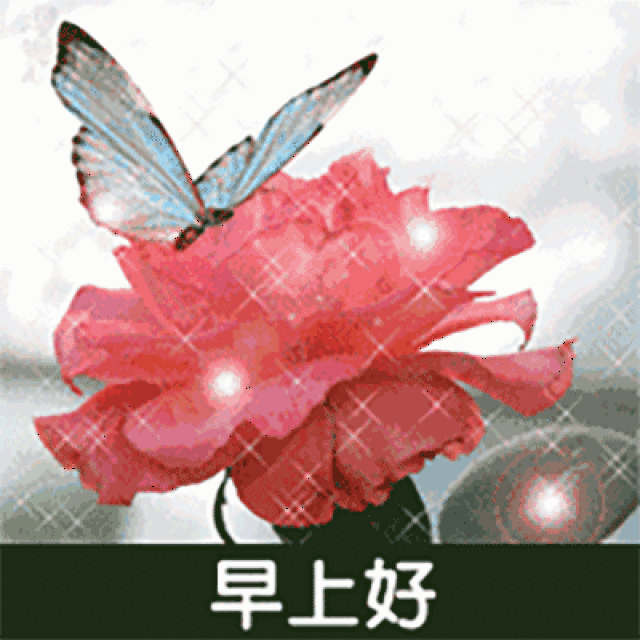 2月最新早上好祝福语图片 早上好新的动态图片表情大全
