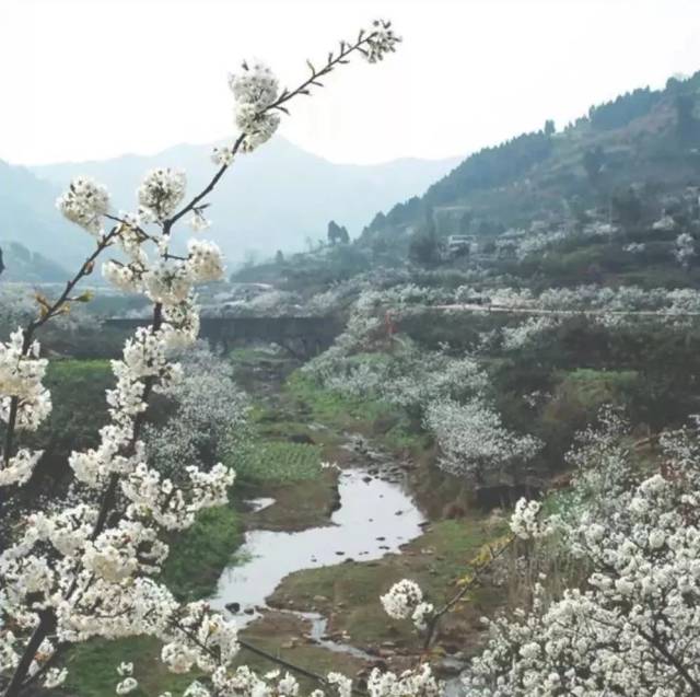 简阳樱桃沟